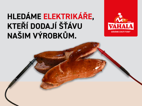 Provozní elektrikář