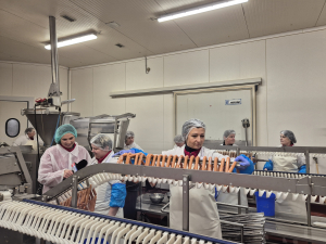 CNN Prima News u nás