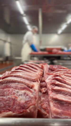 CNN Prima News u nás